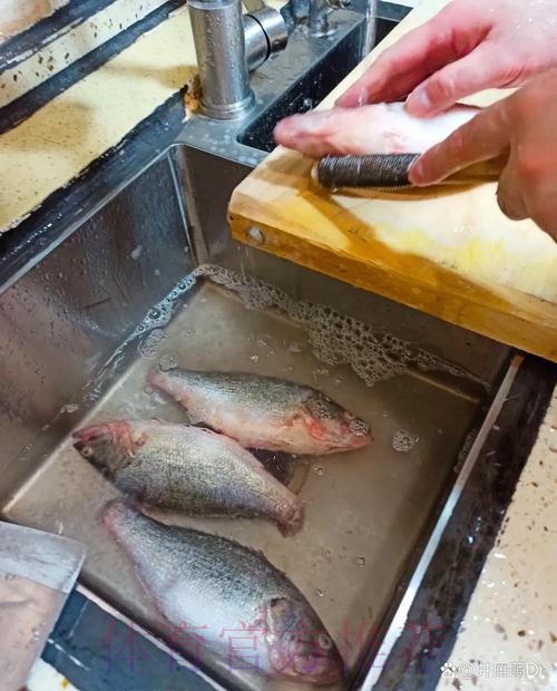 佐尔克：不提前结束雷尼尔的租借 但会听听看法